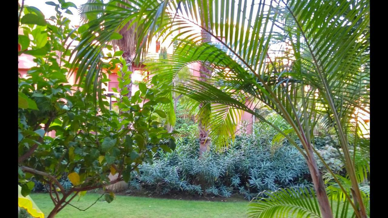 Marbella Alicate Beachfront - Luxury Apartment-2 Εξωτερικό φωτογραφία